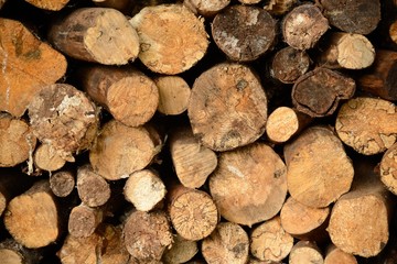 Log pile close-up
