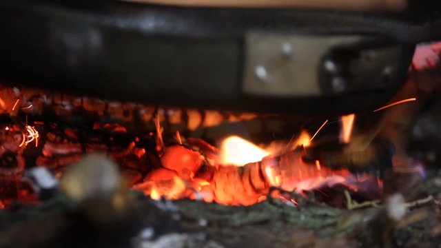 chestnuts on the fire