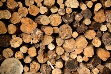 Log pile