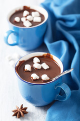 hot chocolate with marshmallows
