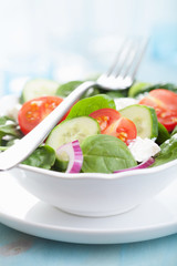 salad with tomatoes cucumber and goat cheese