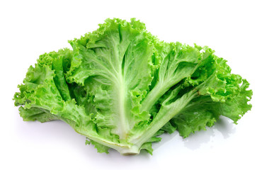 fresh green lettuce leaves isolated on white