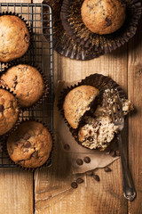 Chocolate Chip Muffins