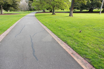 Botanical Garden in Melbourne, Australia © totajla