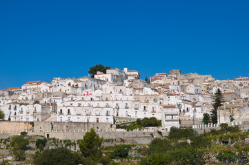 Fototapeta na wymiar Panoramiczny widok z Monte Sant'Angelo. Apulia. Włochy.