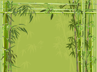 Fototapeta na wymiar dark green frame from bamboo