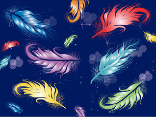 color feathers on dark blue background