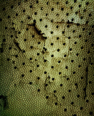 abstract old  texture for background