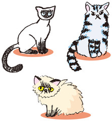 猫3種類