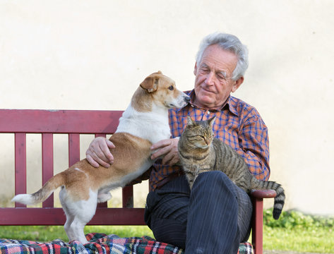 Senior man wirh dog and cat on his lap on bench