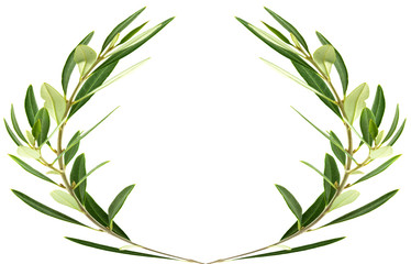 couronne d'olivier