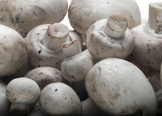 Button Mushrooms