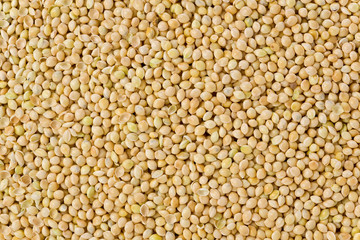 Millet