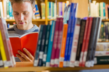 Male student reading book in the library © WavebreakMediaMicro