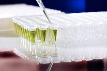 Plastic tubes for DNA amplification and loading pipette. Virus concept (coronavirus, zika, ads, papilloma virus)