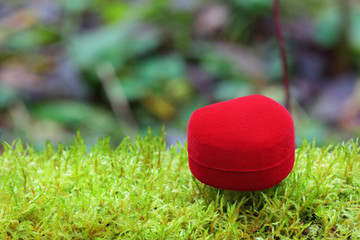 Beautiful valentine's day heart on the moss