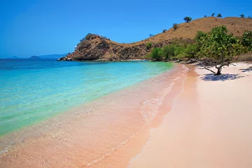 Crédence de cuisine en verre imprimé Plage tropicale Pink Beach