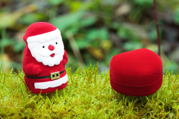 Santa with valentine's day heart on the moss