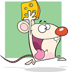 Happy White Mouse Cartoon Character Running With Cheese