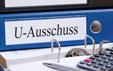 U - Ausschuss
