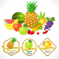 100% Organic  Farm Fresh Fruits