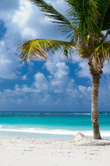 Caribbean Beach