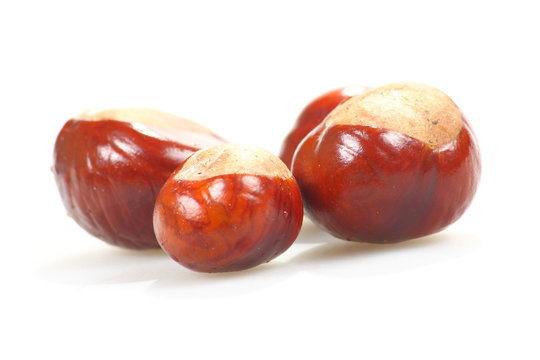Chestnuts