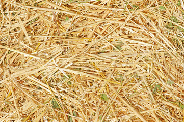 Texture of  straw