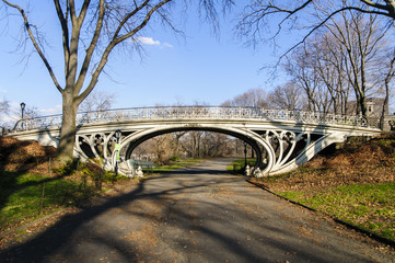 Obraz premium Bridge in Central Park, New York