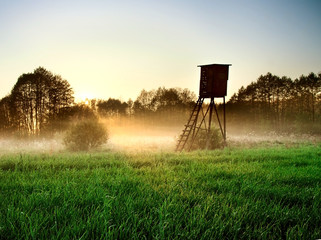 landscape of foggy morning field with raised hide