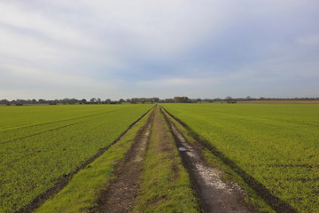 Fototapeta na wymiar autumn farm track