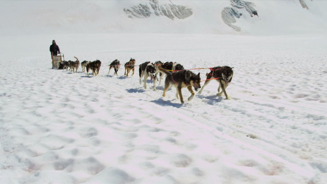 Dogsledding team in motion high mountain pass, Alaska