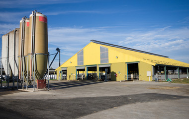 Fototapeta premium Modern milk production farm