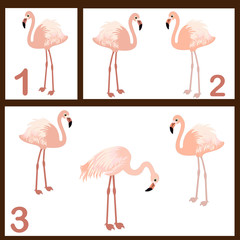 Flamingo set