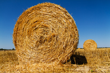Straw bales in the light of sunset