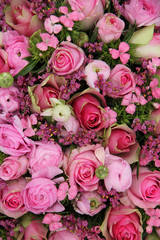 Obraz na płótnie Canvas Mixed pink flower arrangement