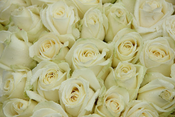 Fototapeta na wymiar Group of white weddingflowers