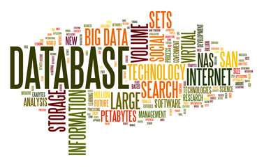 Database concept in word cloud