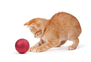 Cute Orange Kitten Playing with a Christmas Ornament on White