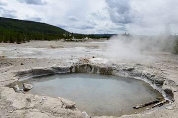 Au Yellowstone National Park