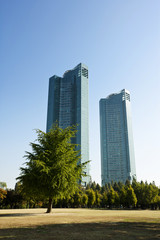Fototapeta premium park and buildings