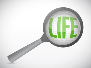 life under magnify search investigation