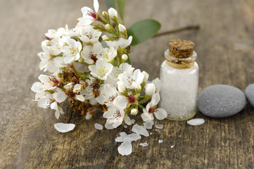 Obraz na płótnie Canvas grey stones and spring flower, salt in glass on old wooden