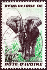 Elephant (Ivory Coast 1959)
