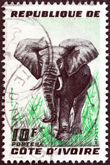 Naklejka premium Elephant (Ivory Coast 1959)