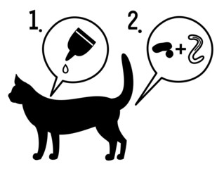猫の寄生虫退治 © Ayumi Onishi