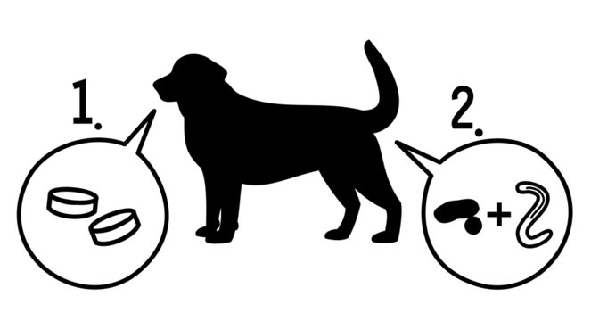 437 Best 寄生虫 Images Stock Photos Vectors Adobe Stock