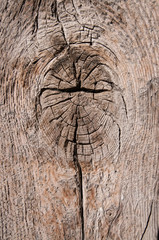 Fototapeta premium wooden board with knot