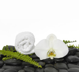 Fototapeta na wymiar roller towel with green fern and orchid on pebbles