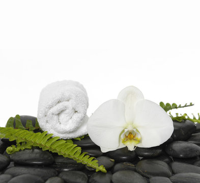 roller towel with green fern and orchid on pebbles